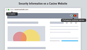 Security information on a online casino website. 