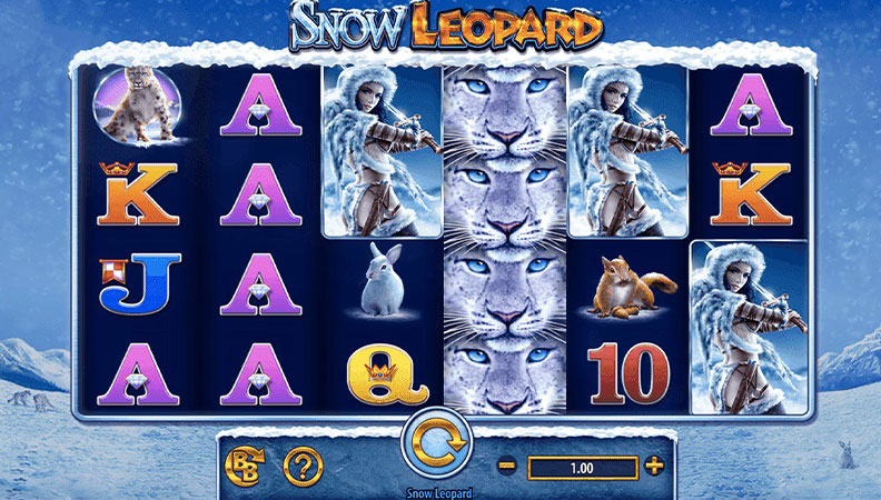 Snow Leopards slot